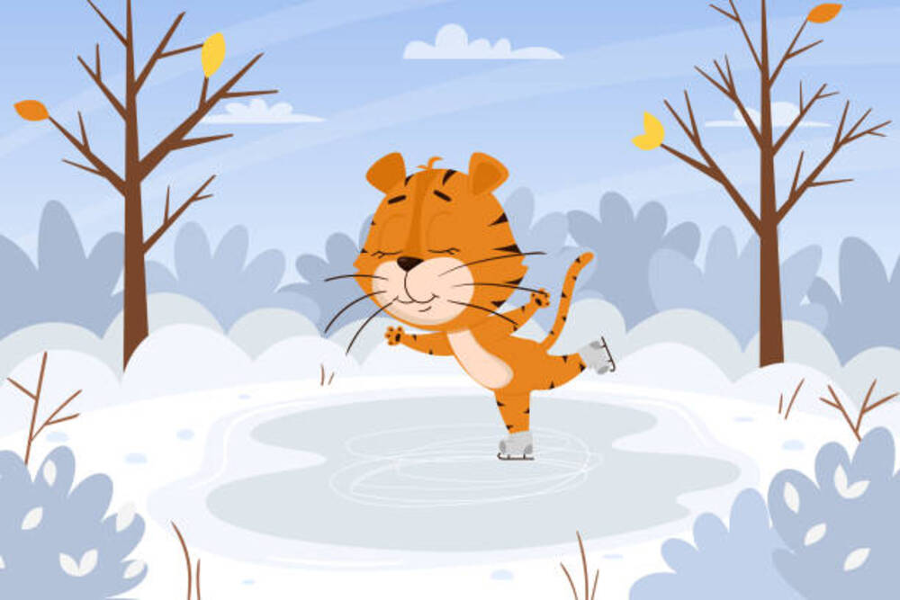 Anmälan till Skridskoskolan VT 2026