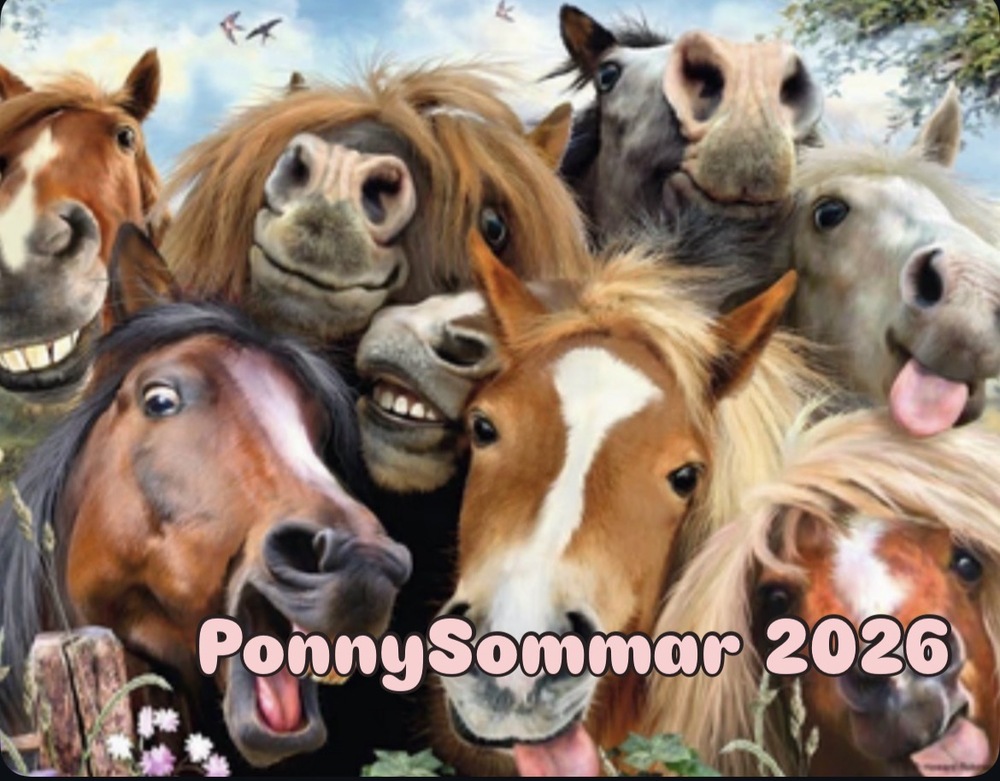 PonnySommar