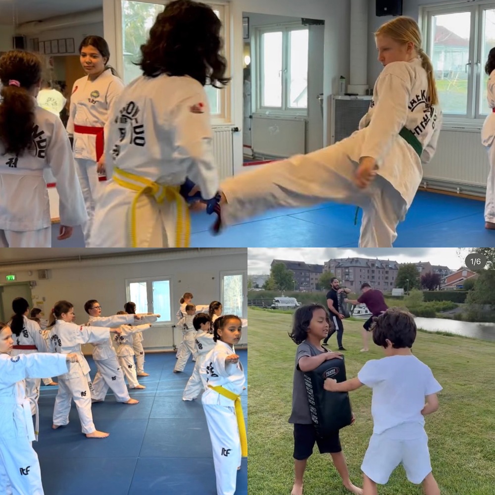 Sommarträning med Kungsbacka Taekwon-Do