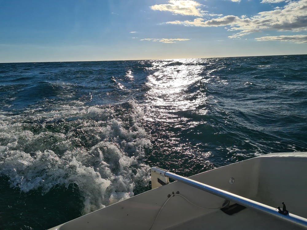 Vuxenseglarskolan Juni & Juli