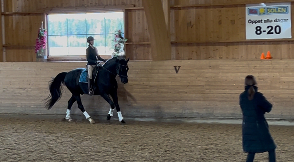 Dressyrträning BUS 9 sep 2025