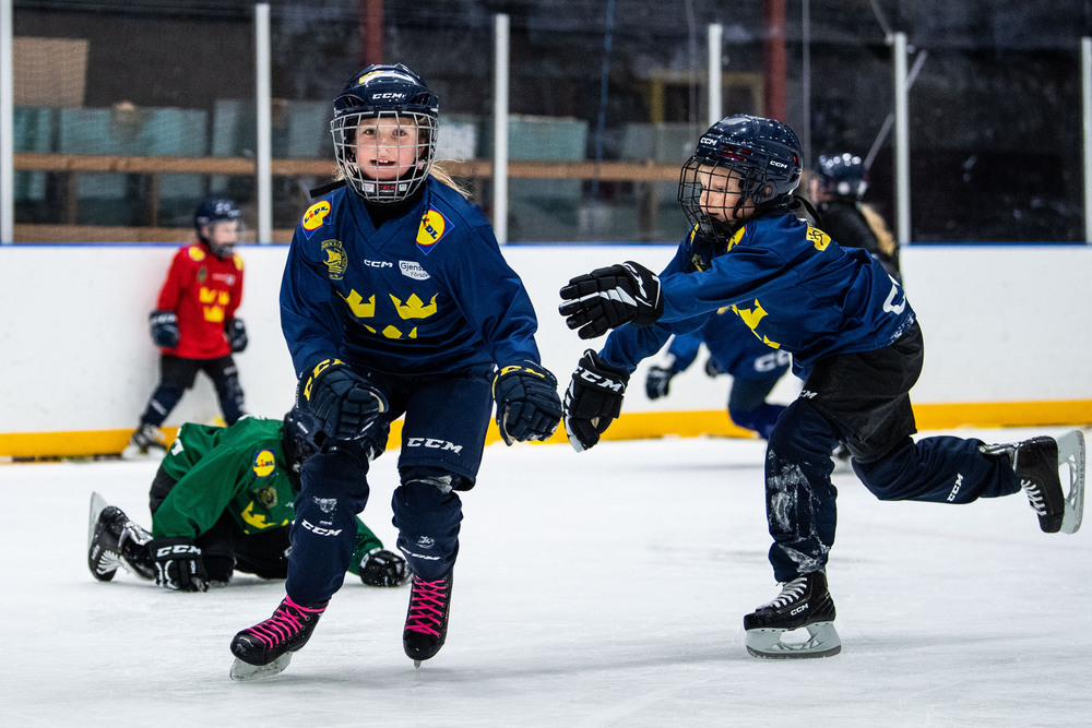 Tre kronors hockeyskola 26/27