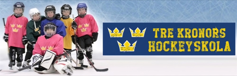 Hockeyskolan Killar 2025/2026