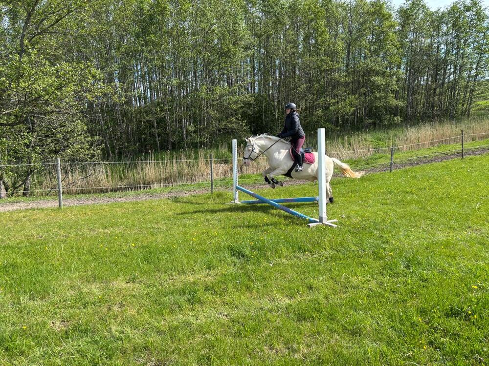 Träningsläger