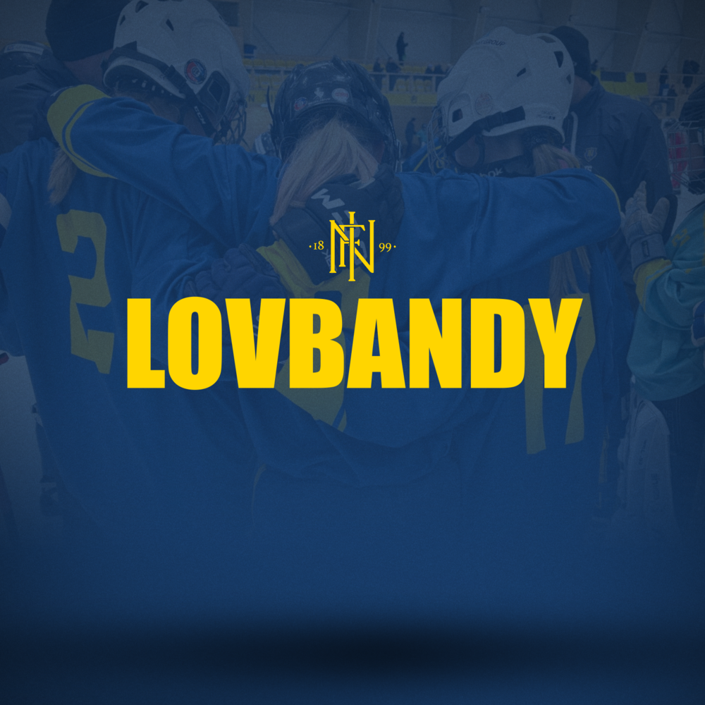 Deltagaravgift jullovsbandy 2025