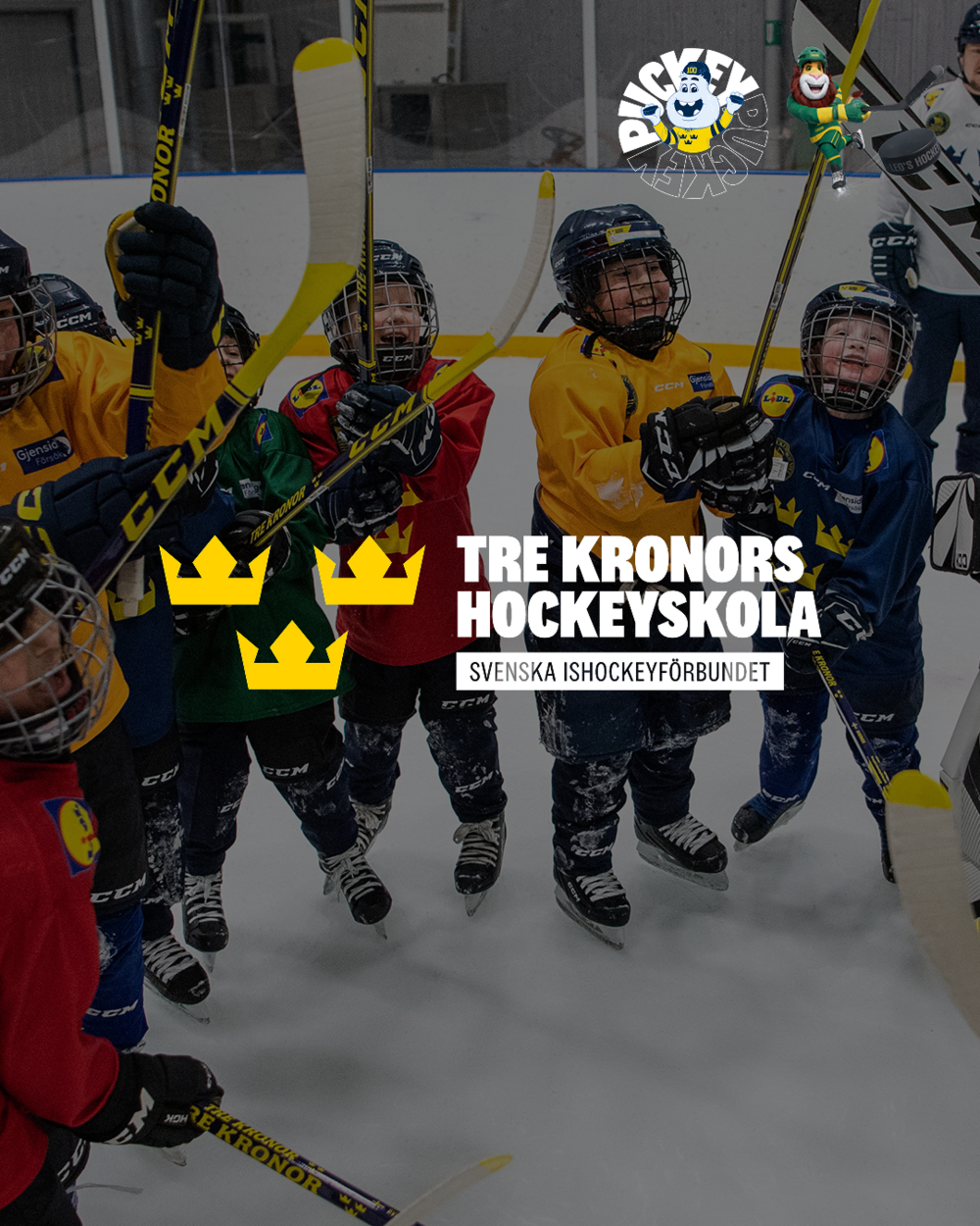 Hockeyskola