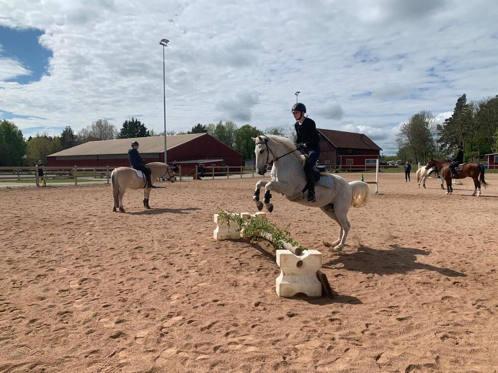 Terränghoppning 19 april