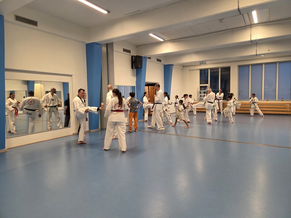 Prova på Taekwondo vårtermin 2026