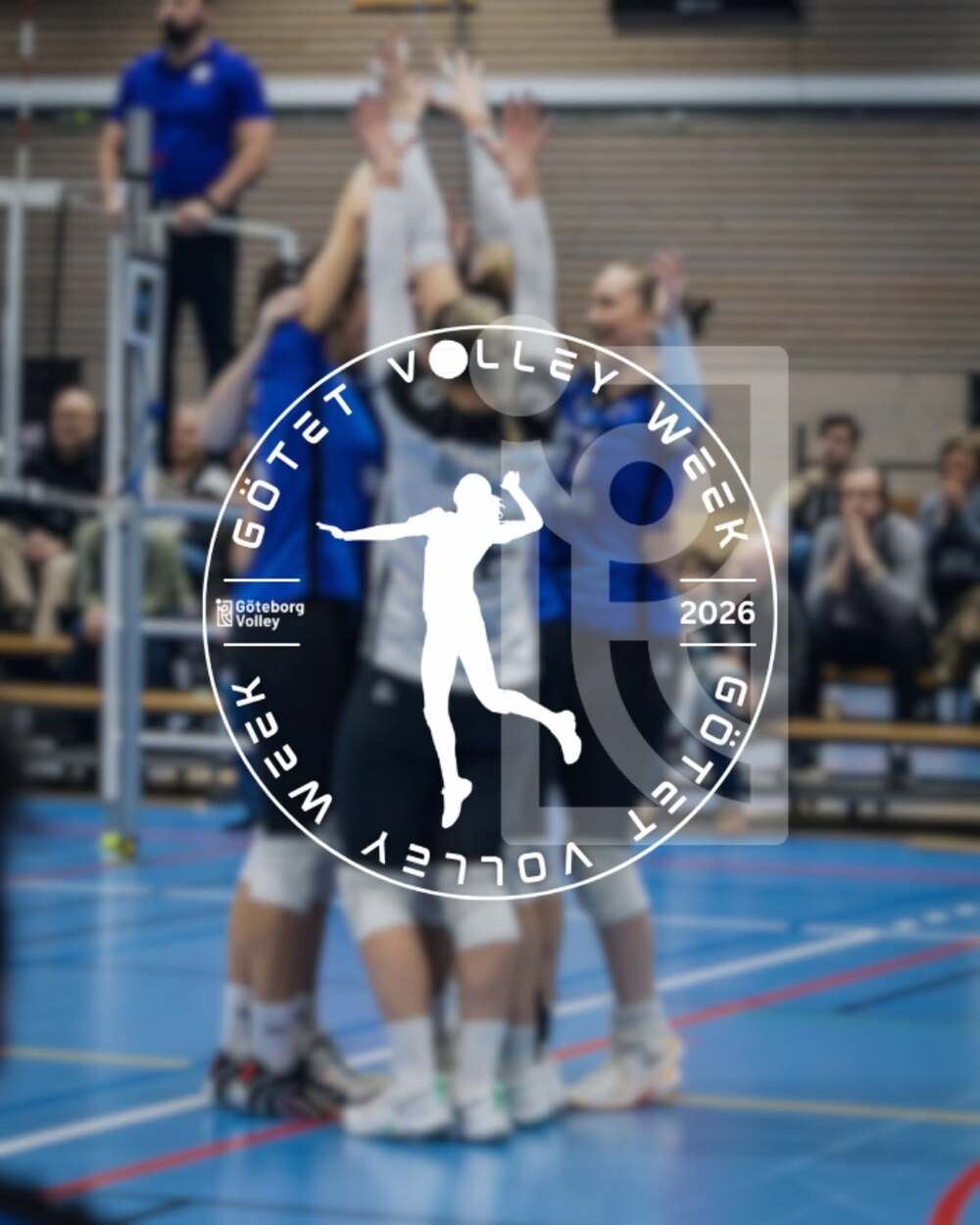 Götet Volley week 2026 - NEW Queen 