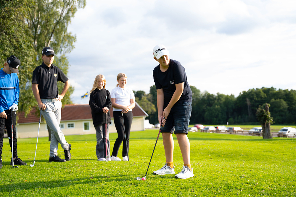 Anmälan Grönt kort