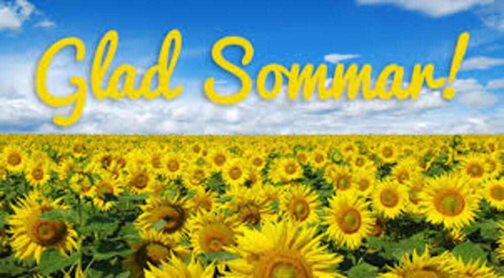 Sommarläger Vecka 25 2026