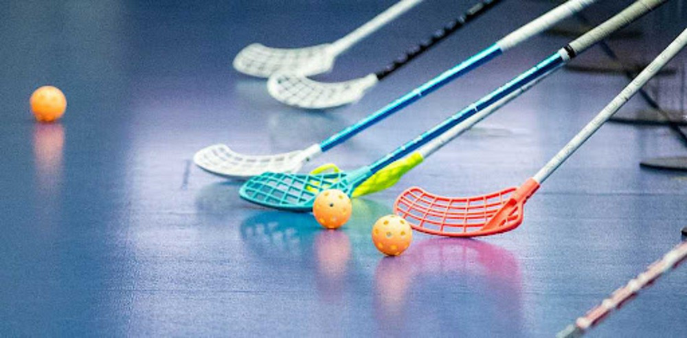 Ledare pojkar 2018/2019