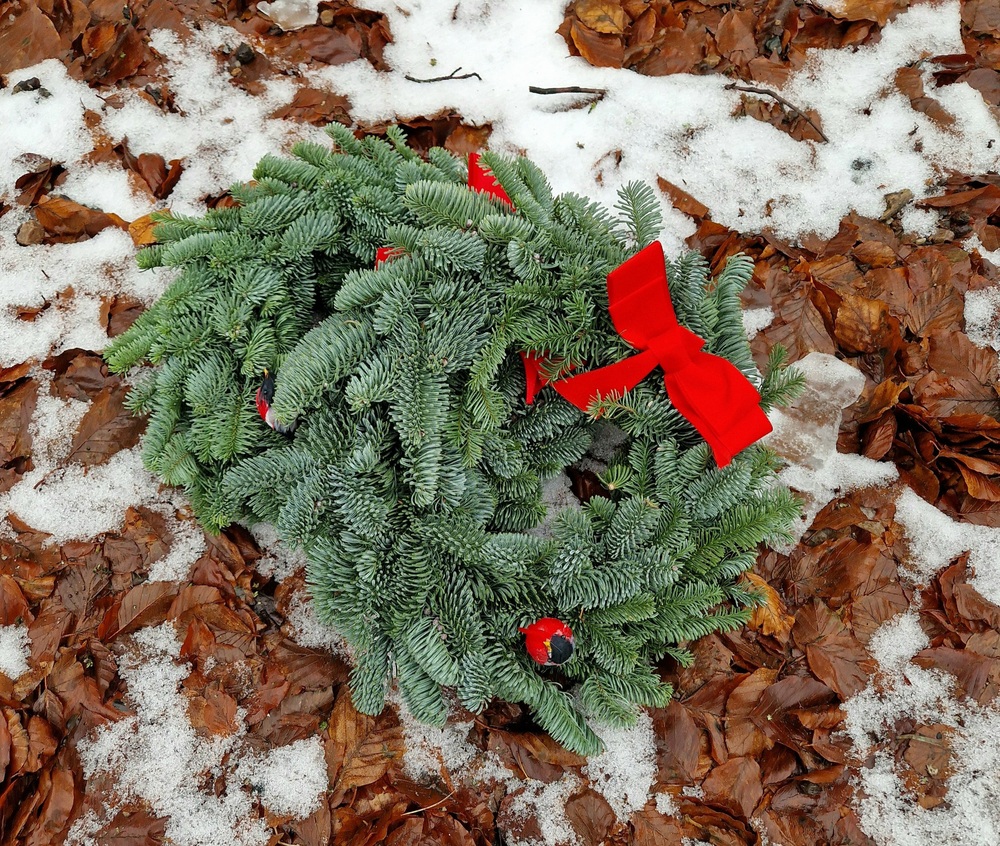 Julkrans /Amaryllis 2025