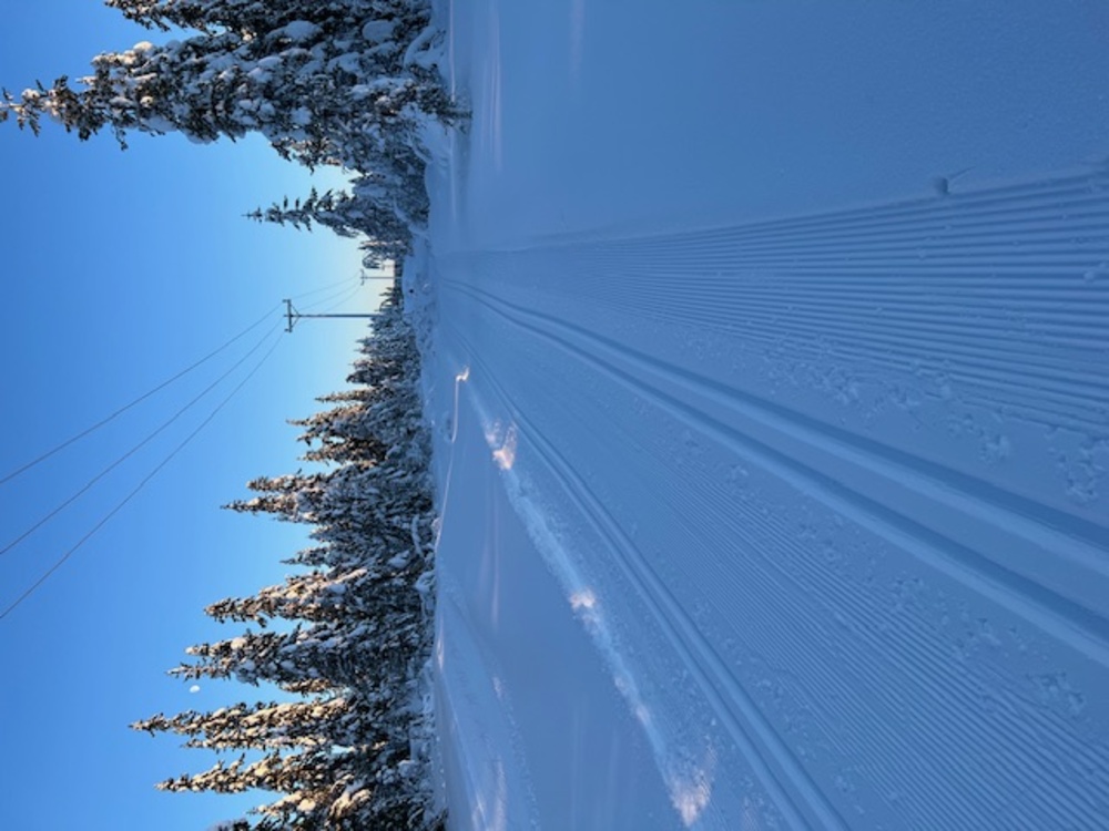 Skidsektionen medlemskap