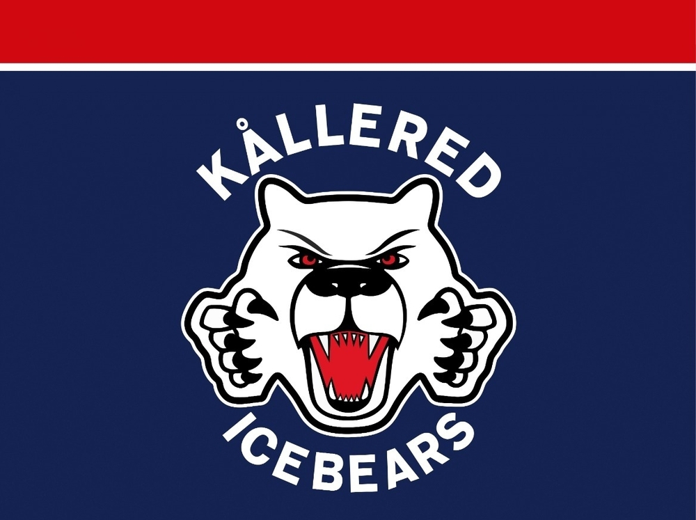 Nyårs Gamecamp 30/12